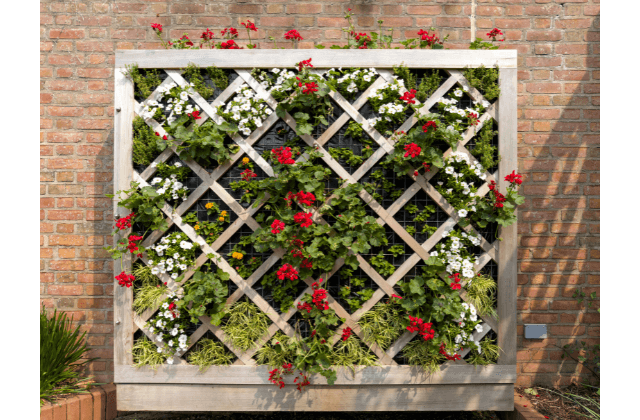 Jardim vertical com flores rosas
