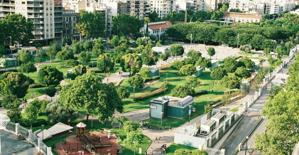 Árvores no meio urbano