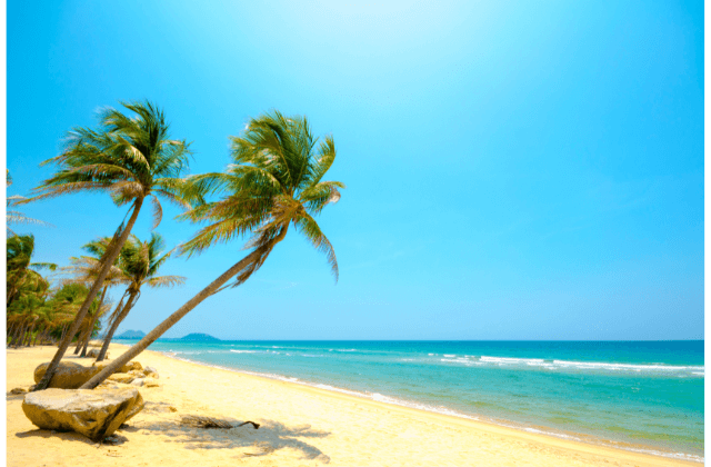 Verão