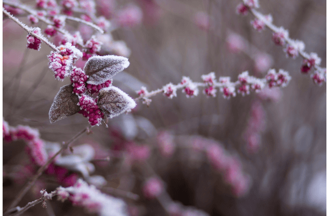 Inverno